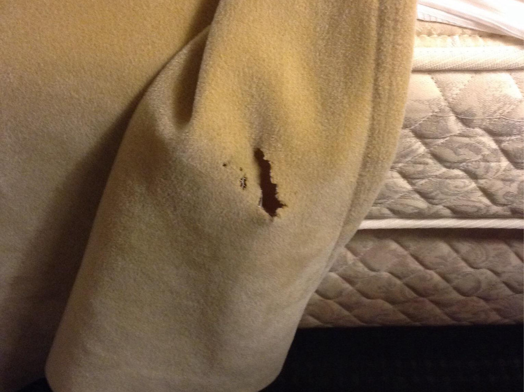 Golden Chain Resort Motel