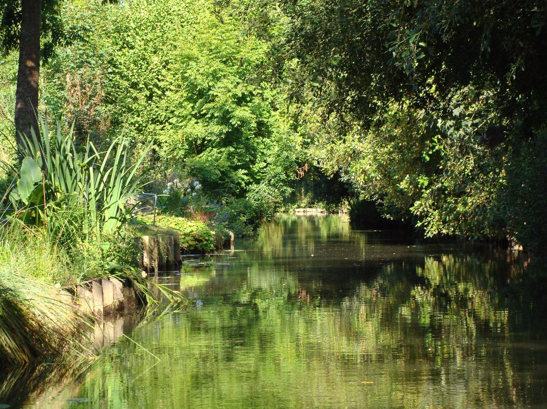 Les Hortillonnages d'Amiens景点图片