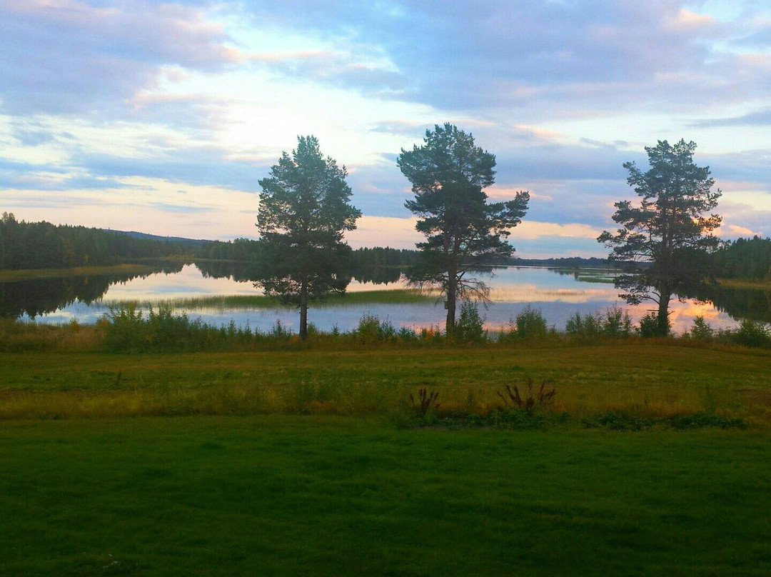 Lapplands Drag - Day Tours-Blattnicksele必去景点