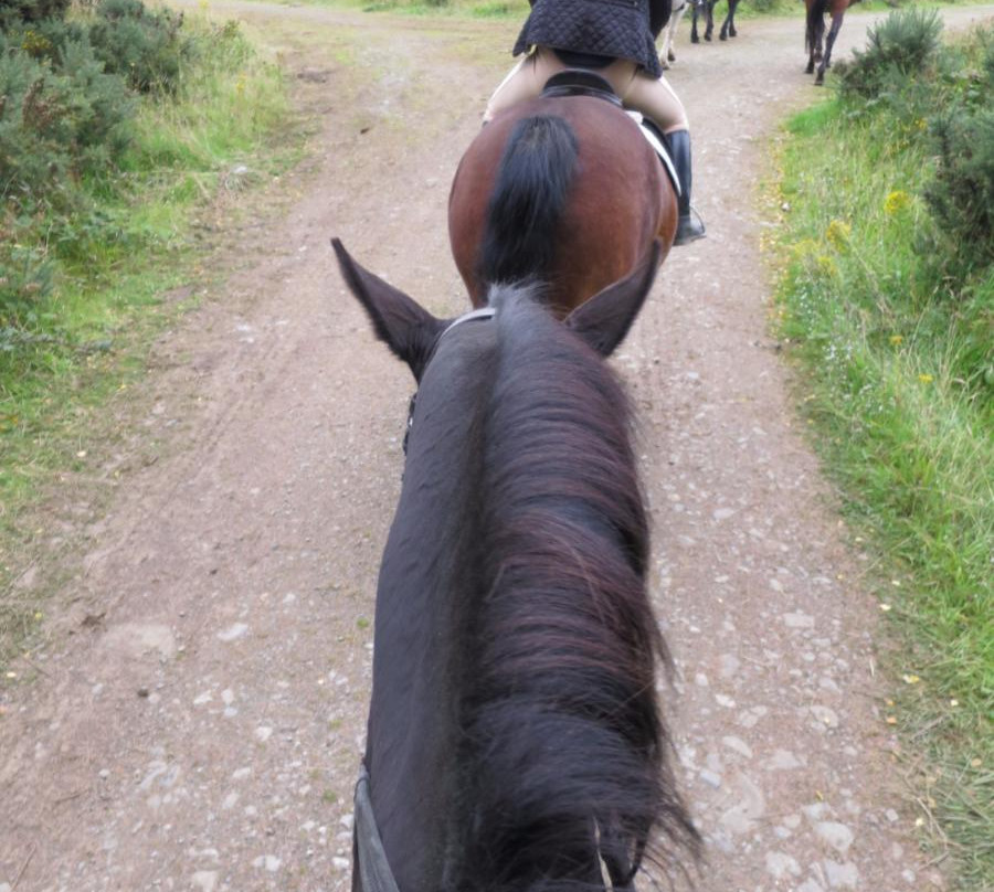 Coolmine Equestrian Centre-都柏林必去景点