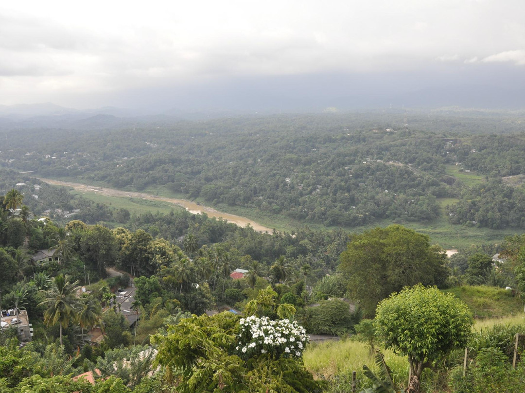 斯盖代奥寄宿家庭主图