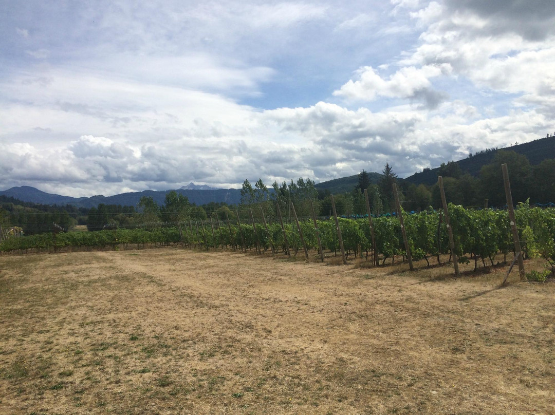 Mount Baker Vineyards and Winery景点图片