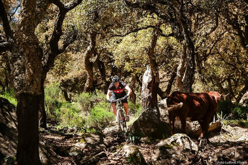 Mtbtarifa-塔里法必去景点