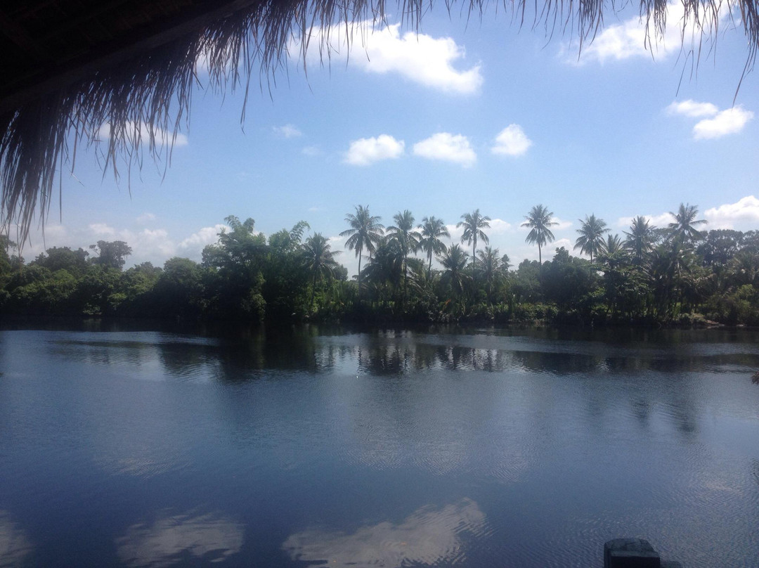 Arcadia Waterpark Hostel