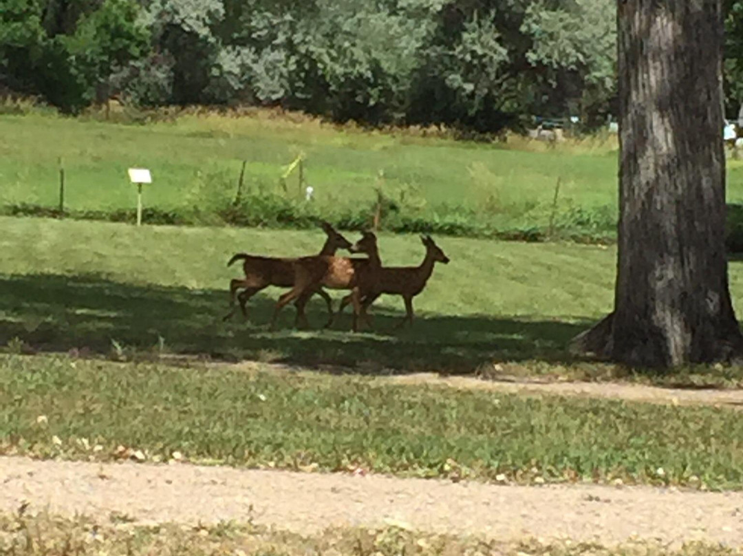 1883 Water Works-科林斯堡必去景点