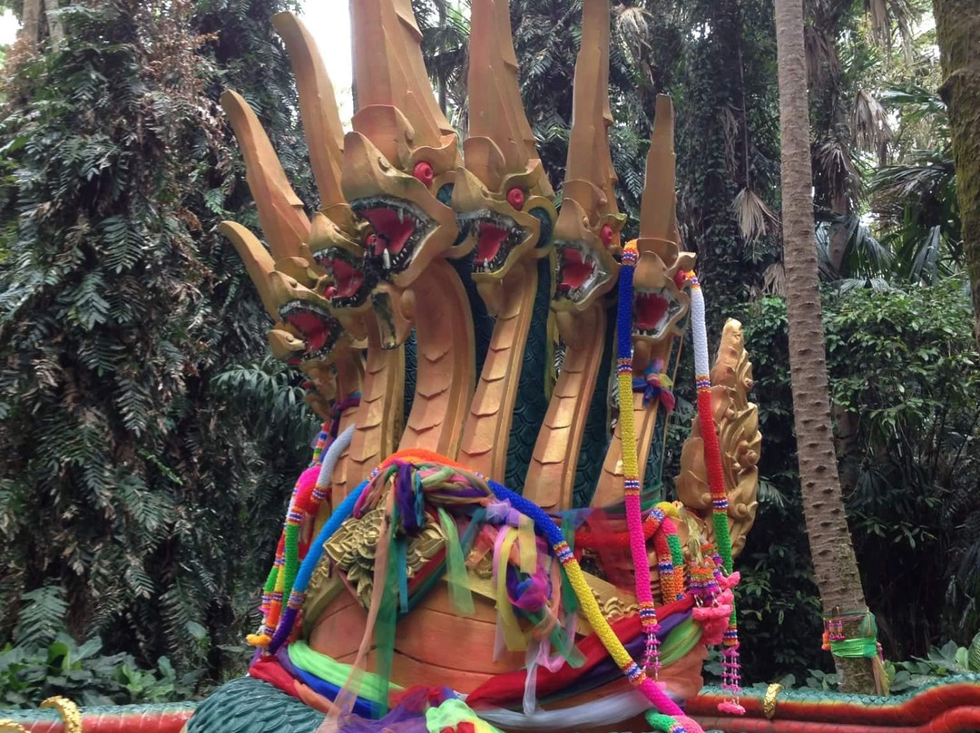 Kham Chanod Forest景点图片