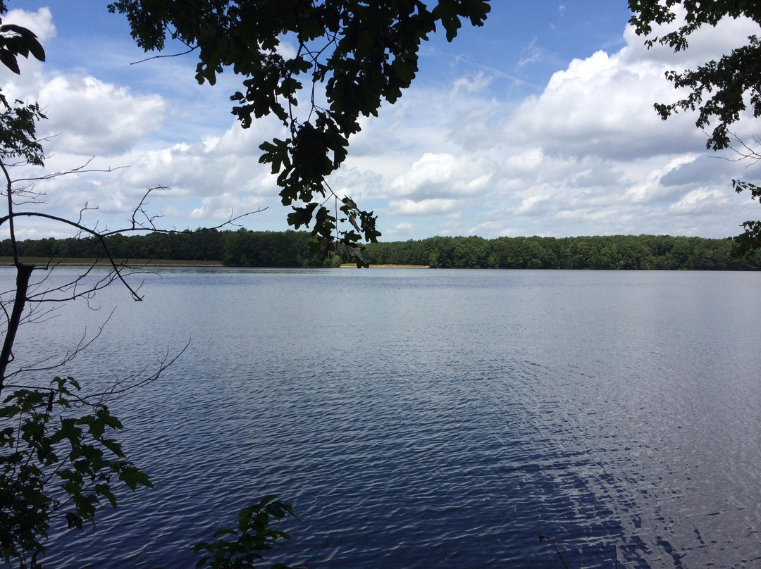Cane Creek Park-Waxhaw必去景点