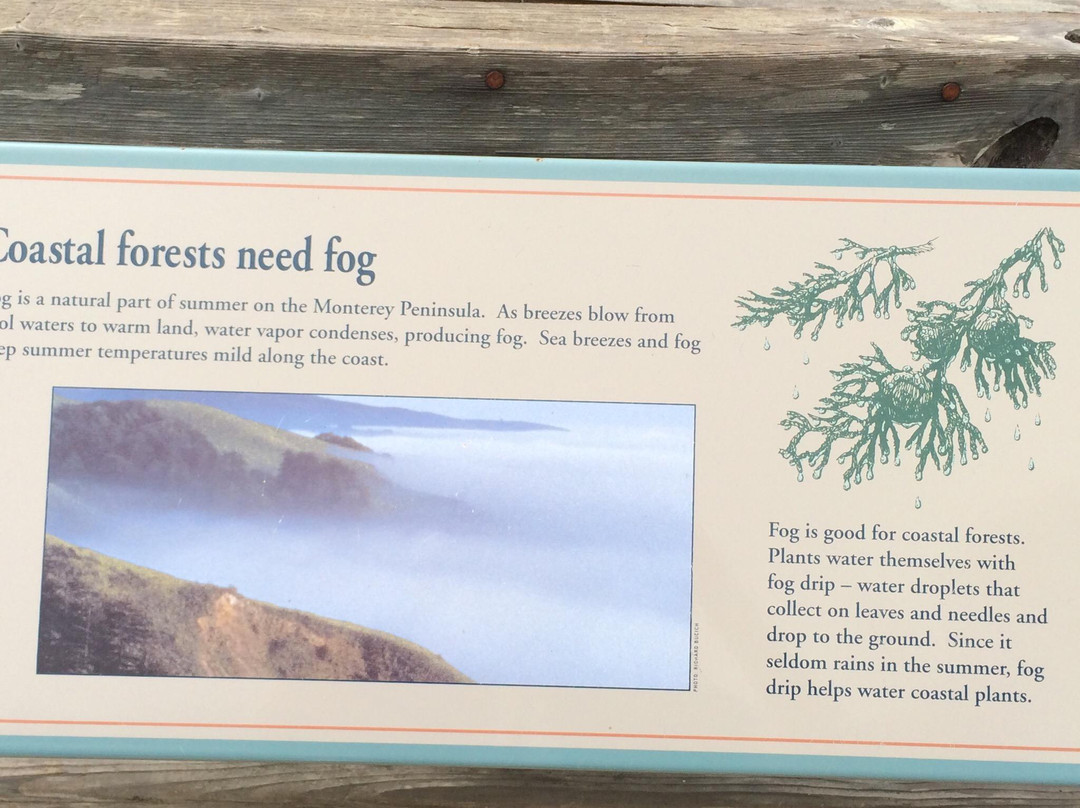 Cypress Point Golf Club-圆石滩必去景点