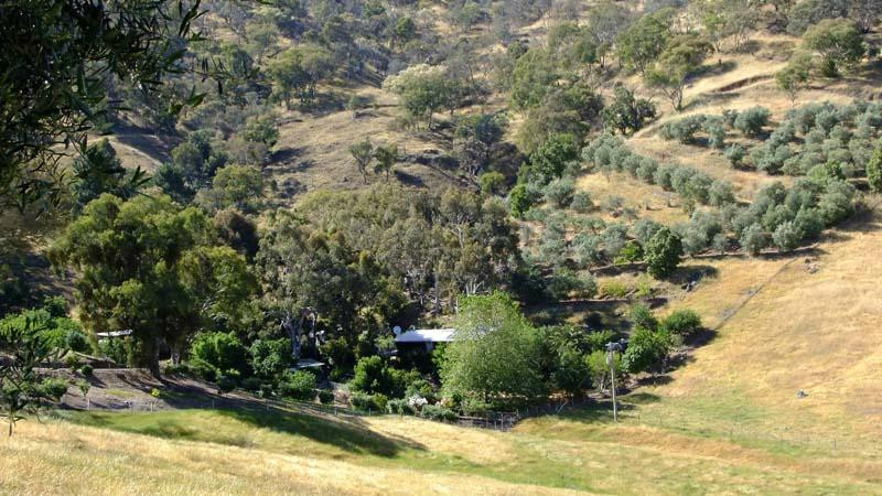 Binderee Grove B&B主图