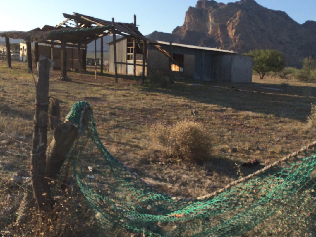 El Rancho del Desierto-圣卡洛斯必去景点