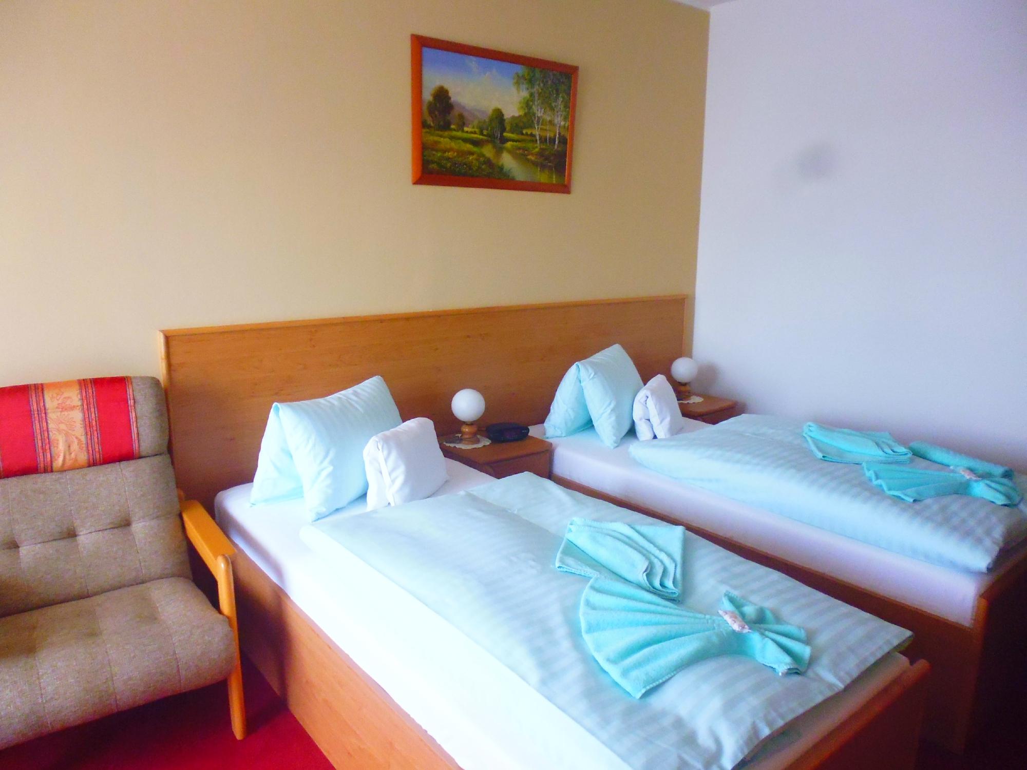 Lazensky Dum Diana-客卧