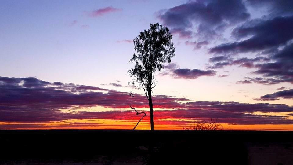 Mungo National Park-Balranald必去景点