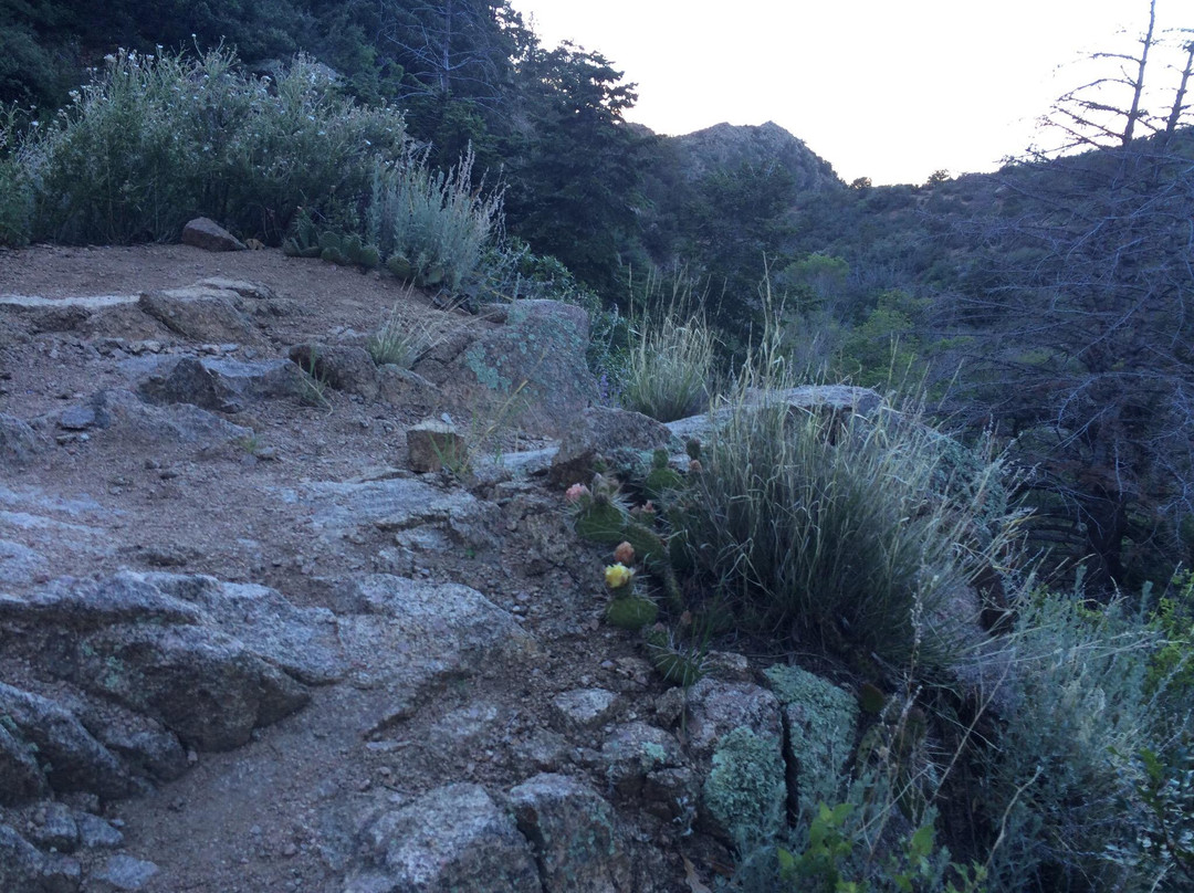 La Luz Trail-阿尔伯克基必去景点