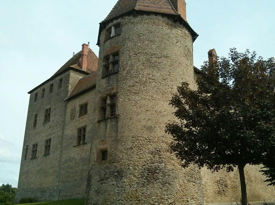 Chateau de Septeme景点图片