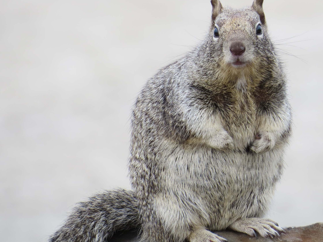 Rockaway Beach Wayside-Rockaway Beach必去景点