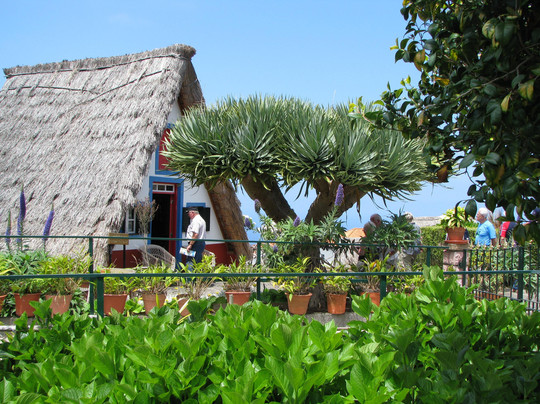 Madeira Discoverers-沙尔必去景点