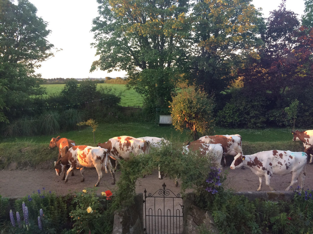 Barton Farm B&B