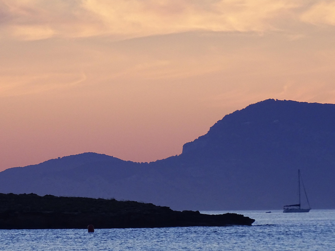 Parc Natural De Ses Salines-福门特拉岛必去景点