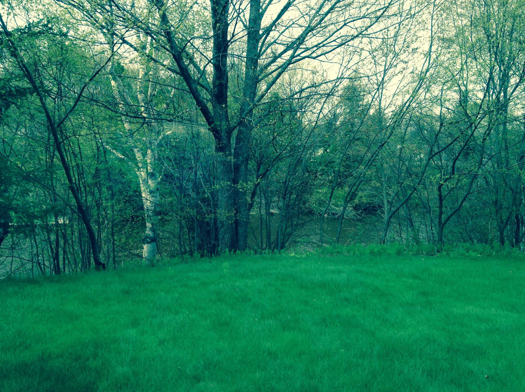 Willabee's Motel主图