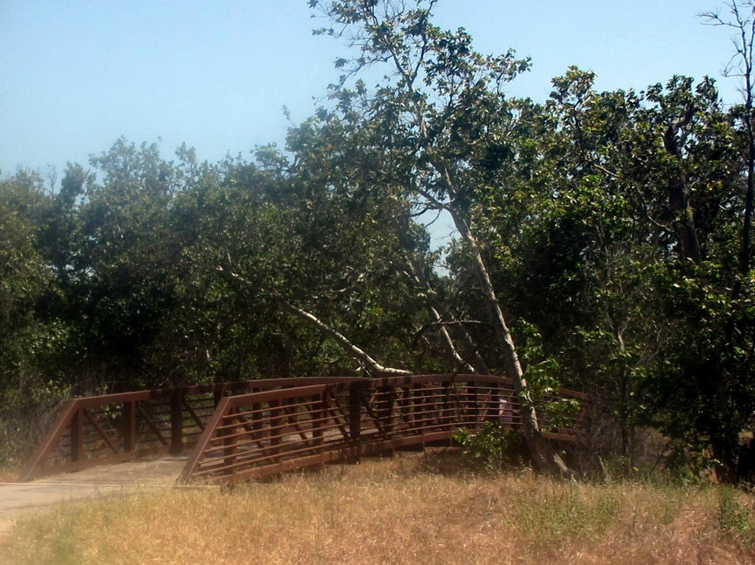 Sycamore Grove Regional Park-利佛摩必去景点