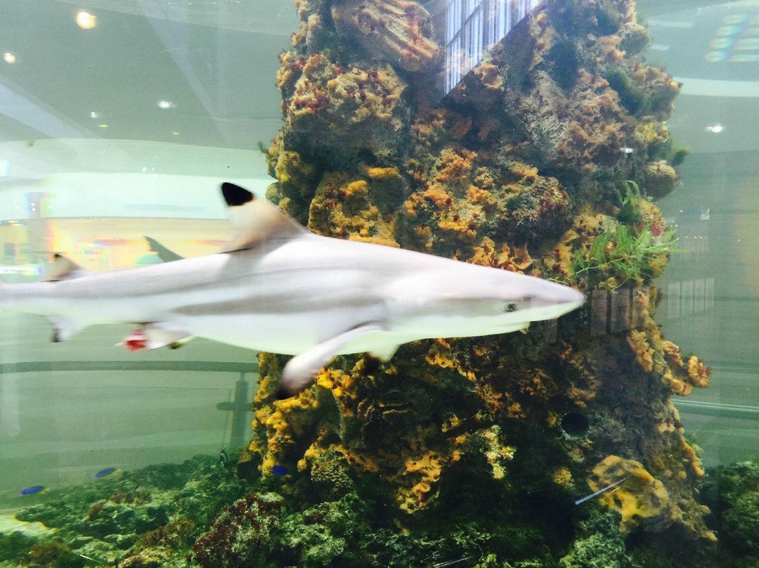 Mall Rubin-特维尔必去景点