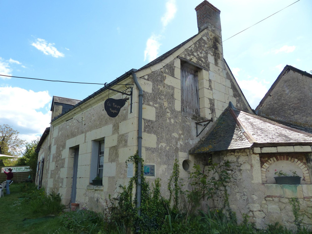 Coteaux-sur-Loire旅游攻略图片