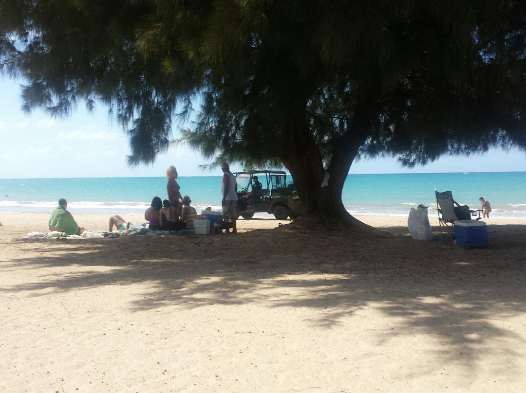 Carolina Beach-卡罗来纳必去景点