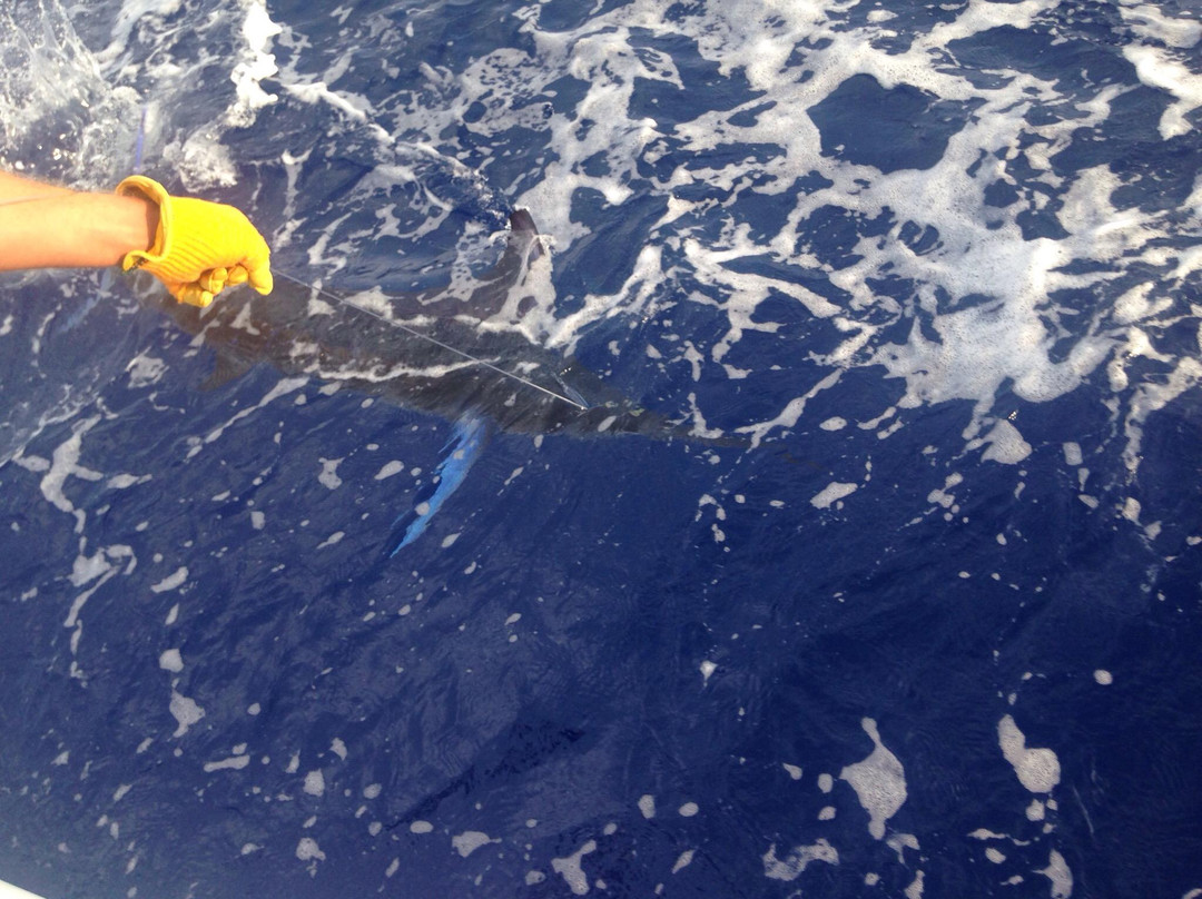 Kona Sportfishing Charters-凯乌渥必去景点