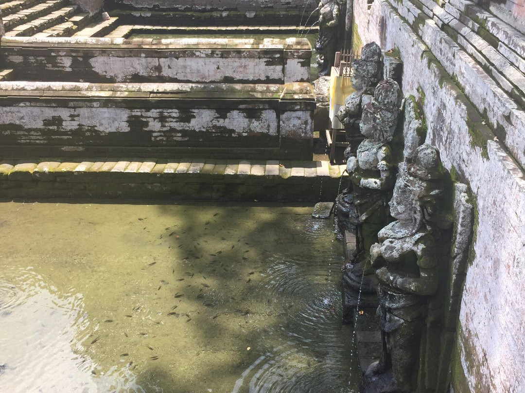 Enrobed Elephant Temple-大其力必去景点