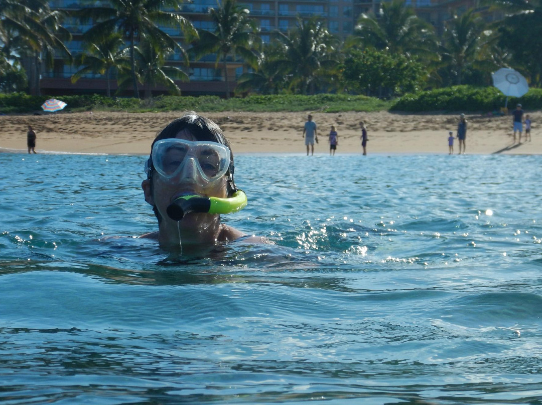 Boss Frog's Snorkel Rentals - Kaanapali-Napili-Honokowai必去景点