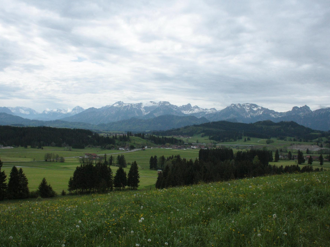 Seeg旅游攻略图片