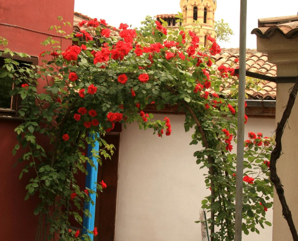 Philipopolis house主图