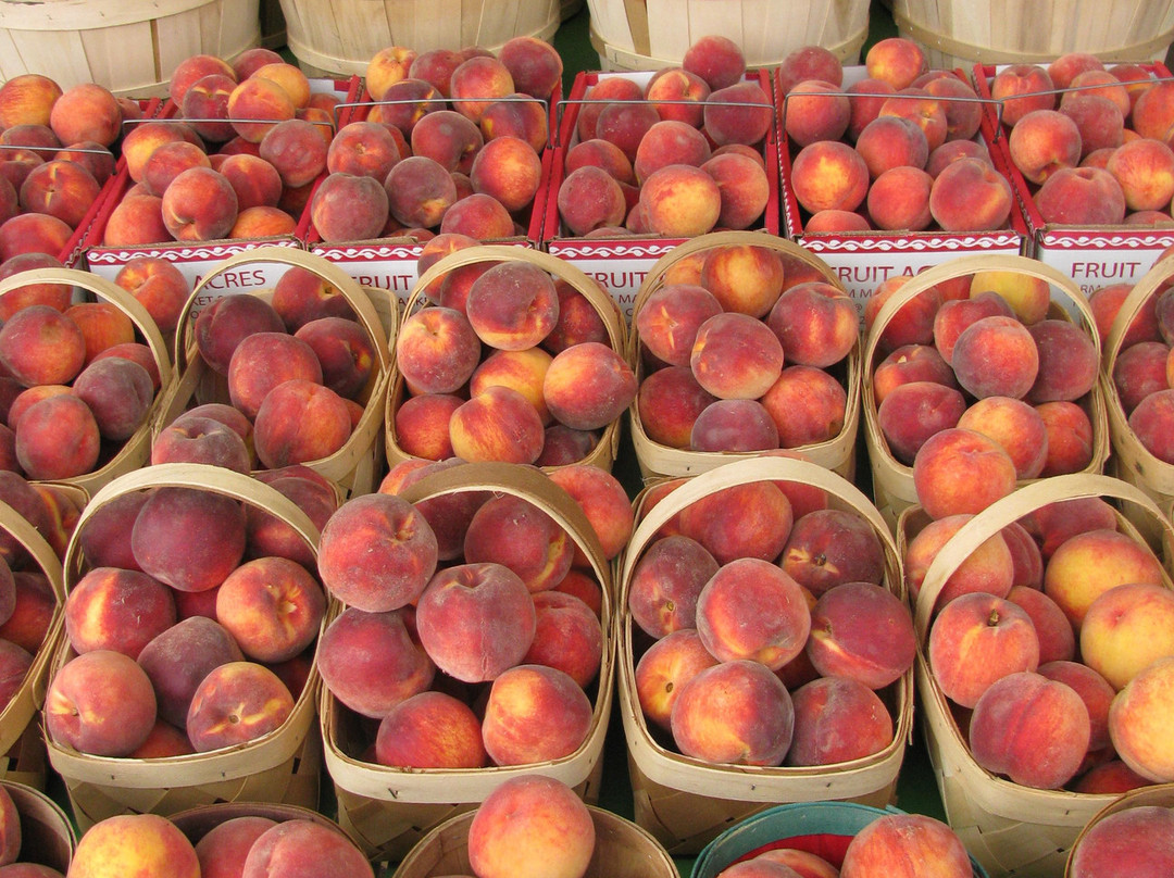 Fruit Acres Farm Market and U-Pick-Coloma必去景点