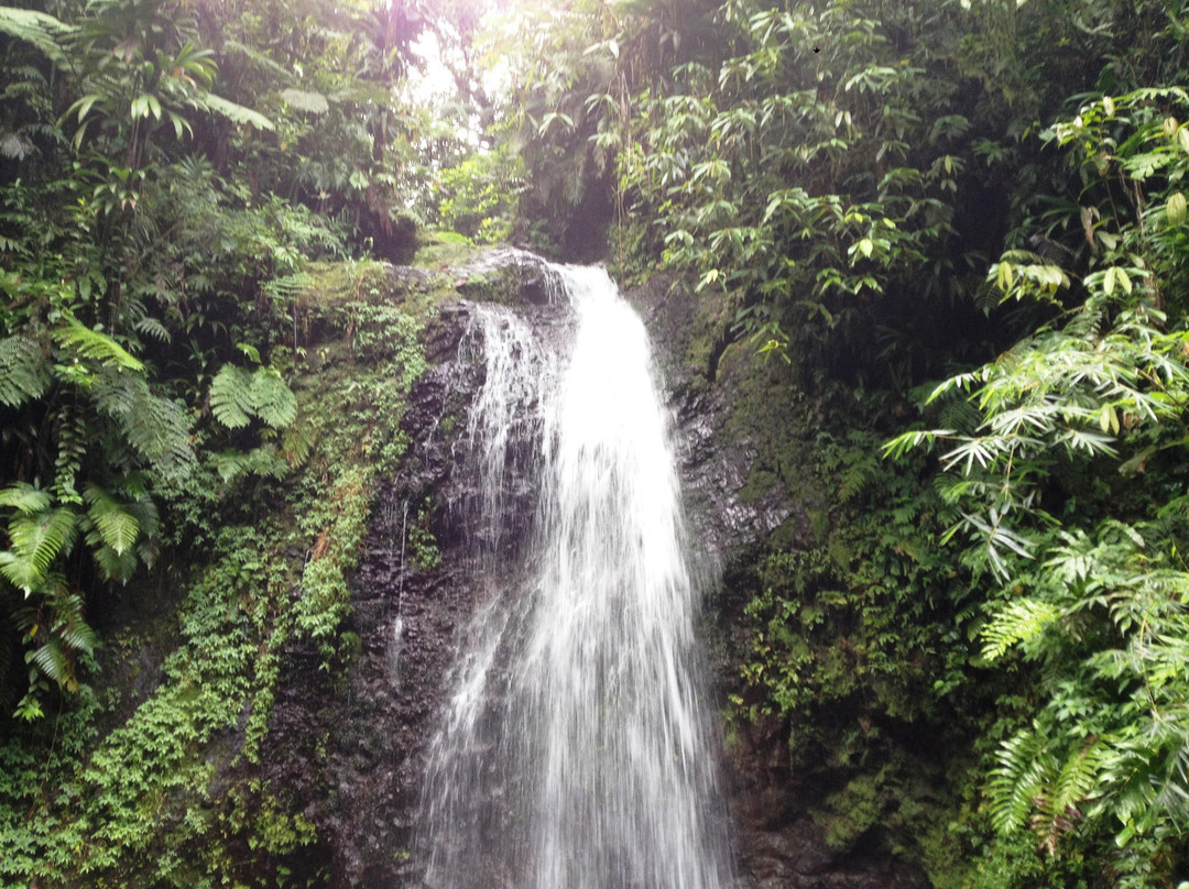 Le SDG - Cascade-Fonds Saint Denis必去景点