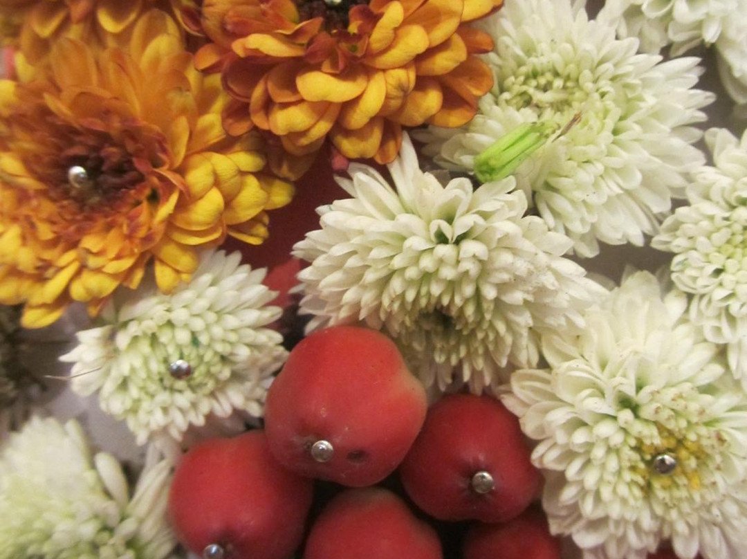 La Catedral de Ambato-安巴托必去景点