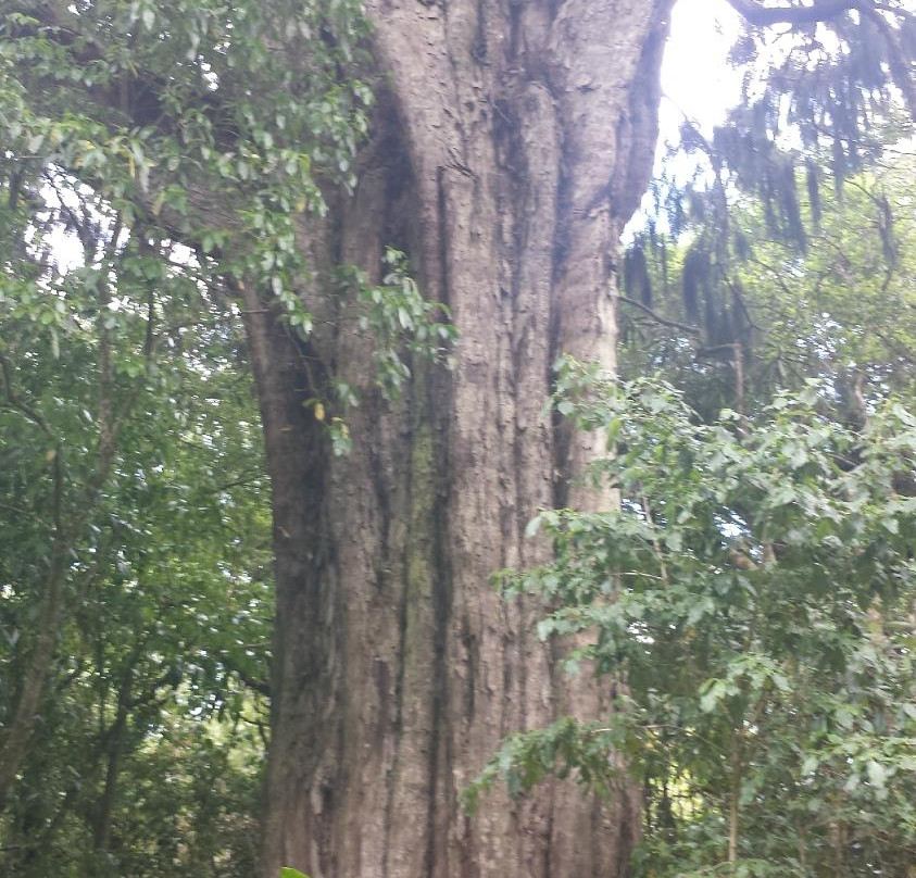 Opepe Scenic and Historic Reserve-陶波必去景点