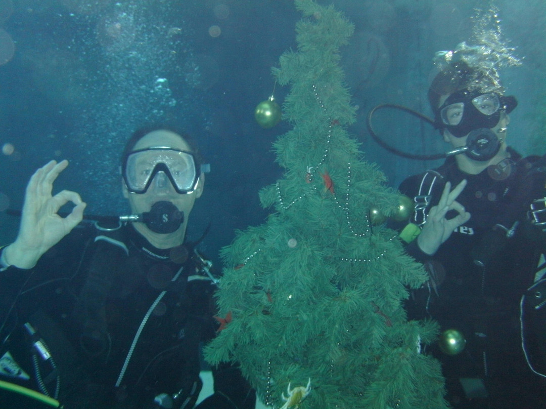 Monte Mare Rheinbach-Rheinbach必去景点