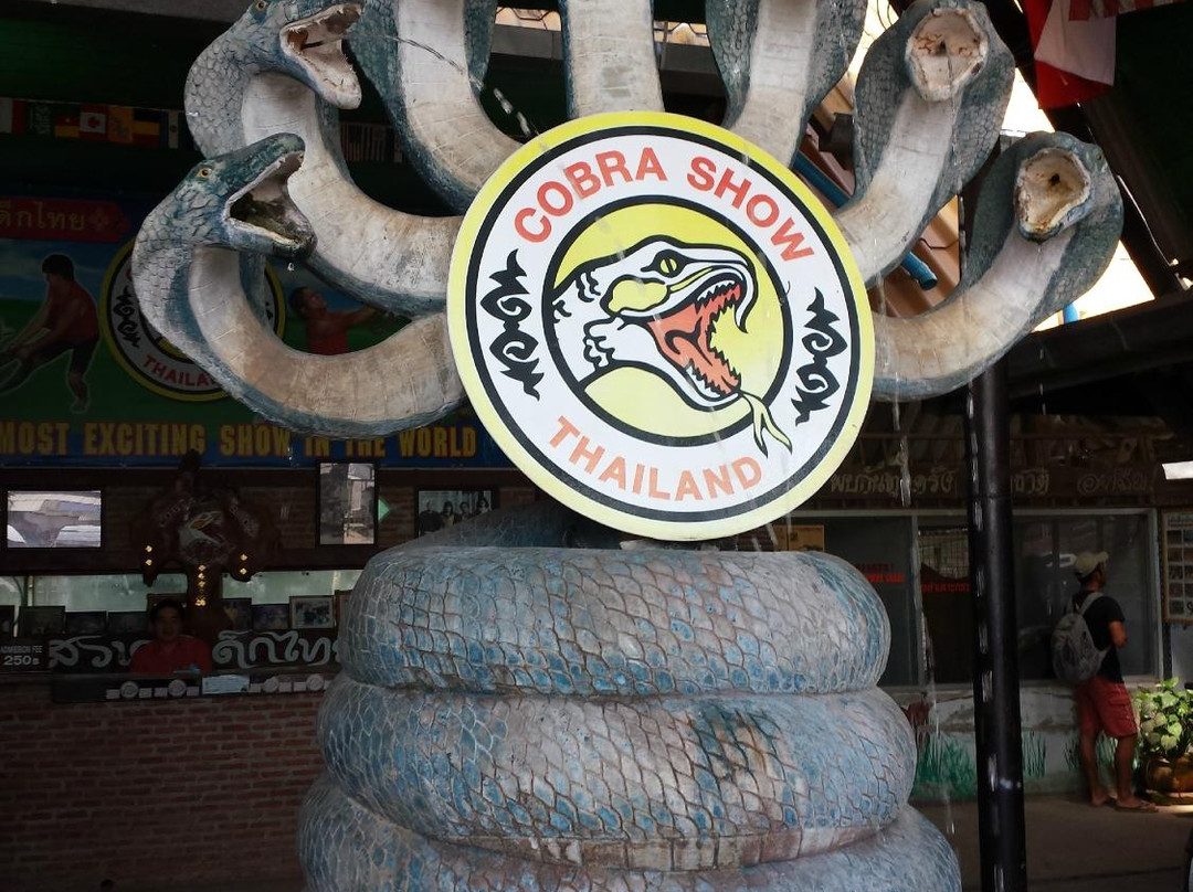 Cobra Show景点图片