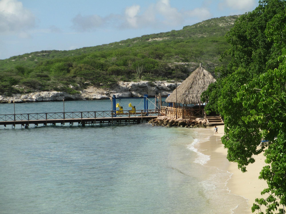 Diveversity Piscadera-库拉索必去景点