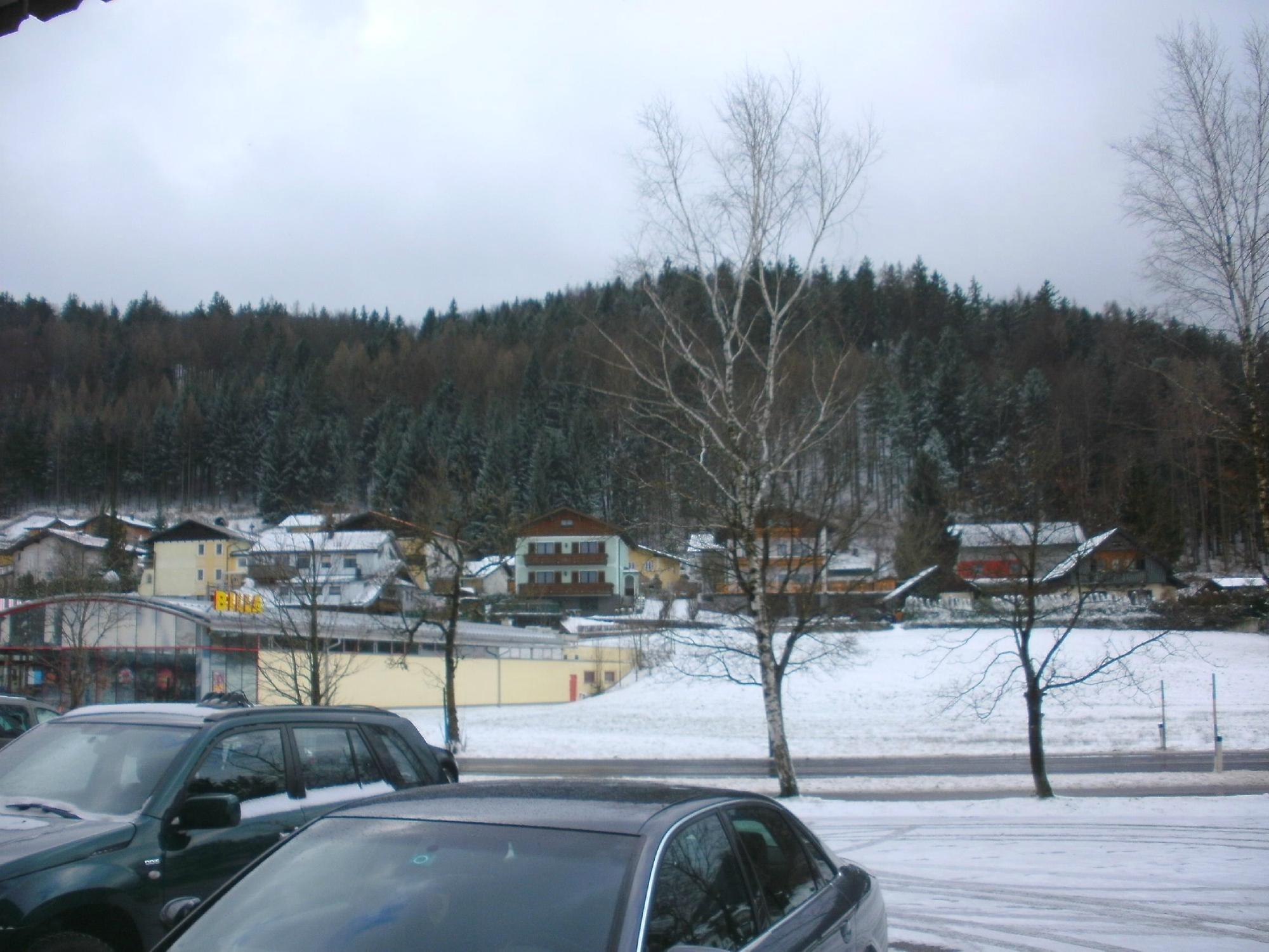 Gasthof Alte Tanne-酒店景观