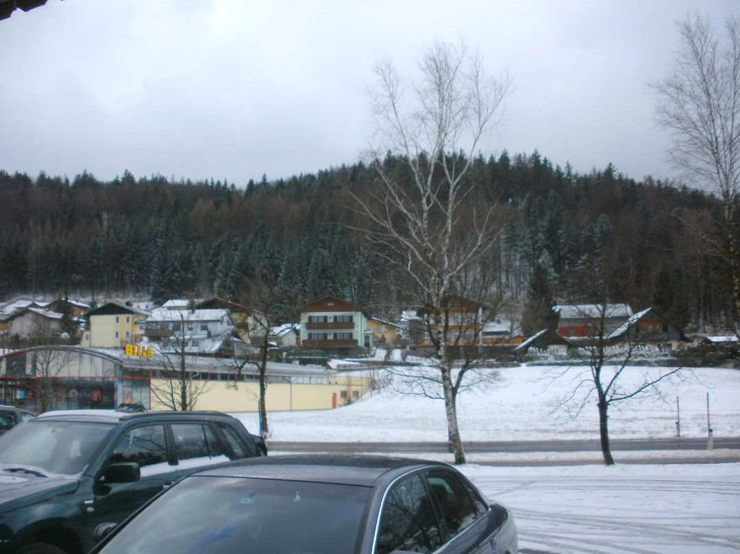 Gasthof Alte Tanne主图