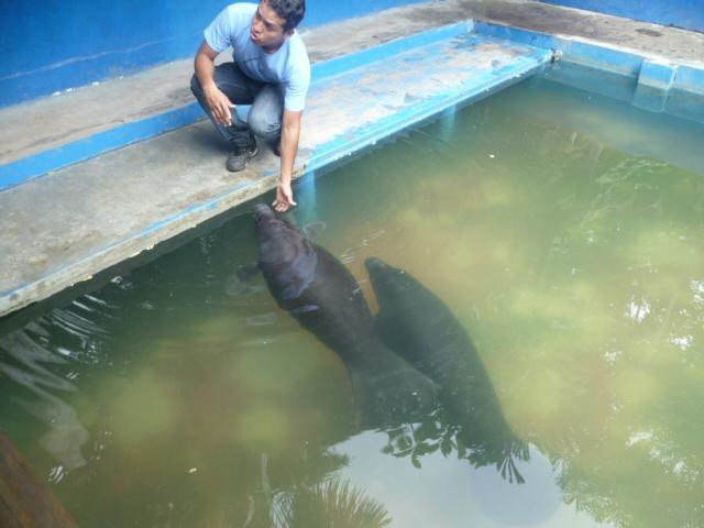 Iquitos Travel - Day Tour-伊基托斯必去景点