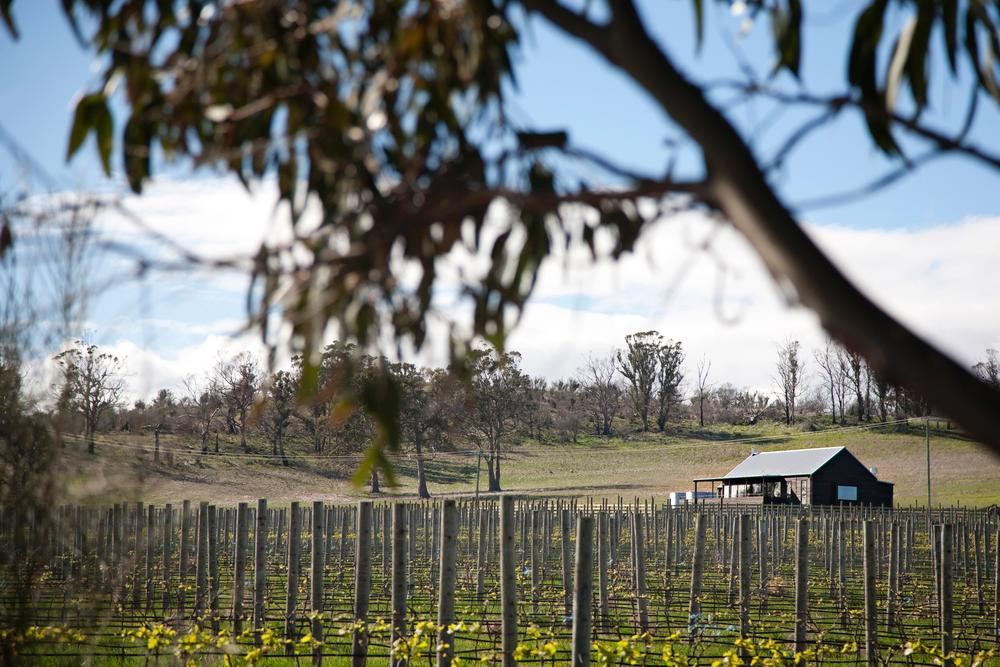 Bangor Vineyard Shed景点图片