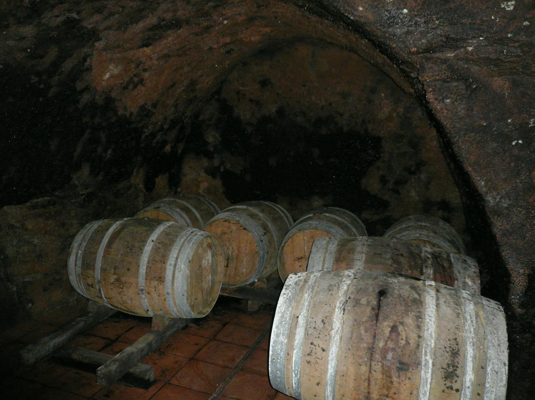 Bodega Muelas-Tordesillas必去景点