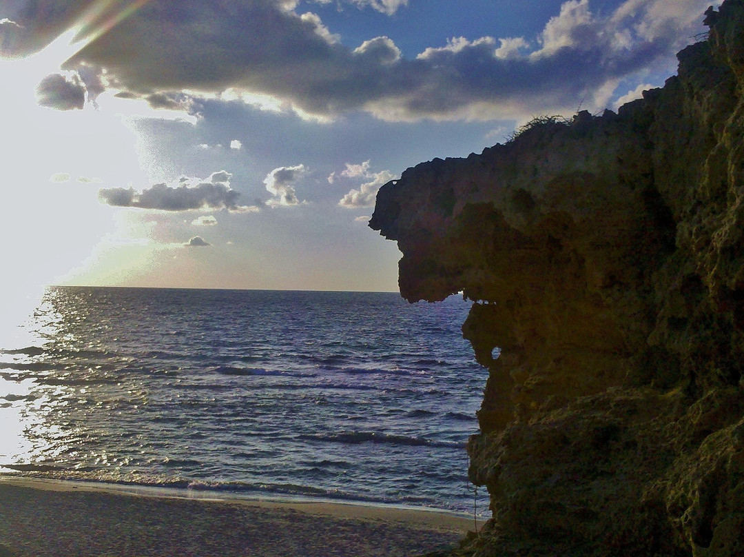 Palmahim Beach National Park-Rishon Lezion必去景点