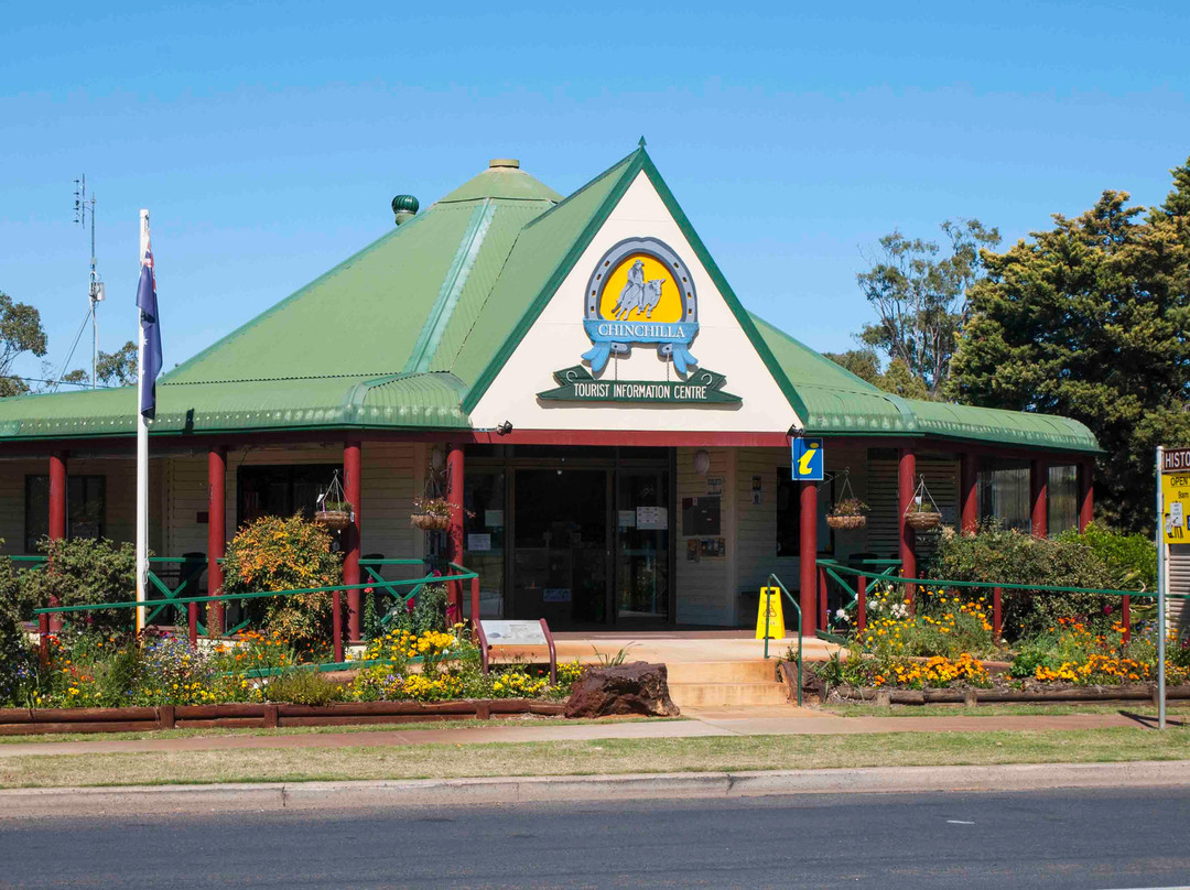 Chinchilla旅游攻略图片