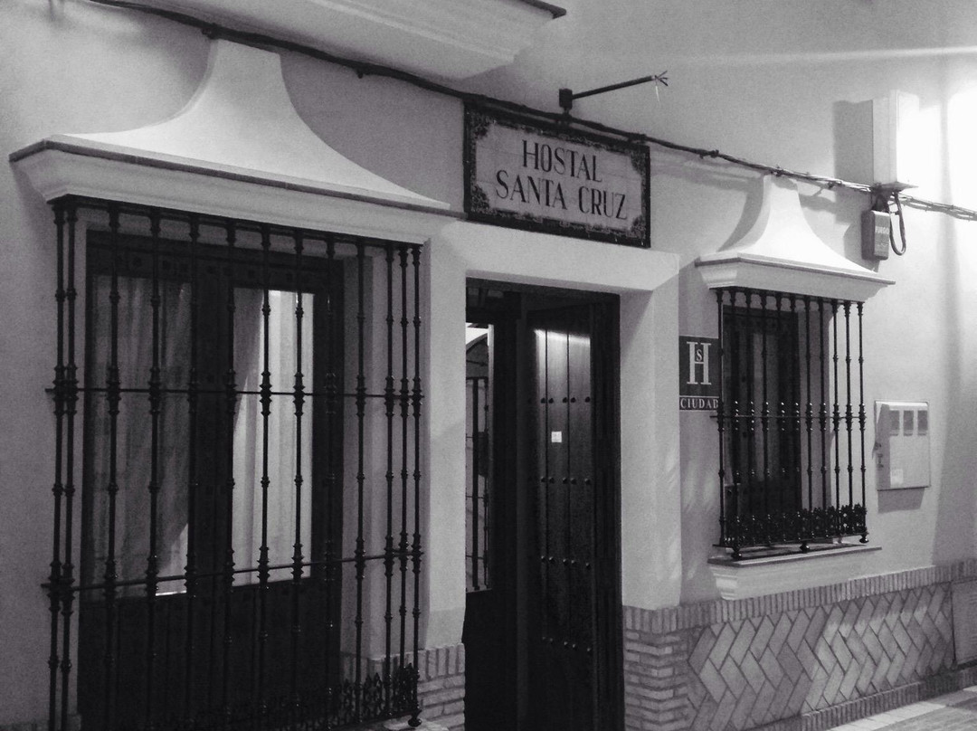 洛斯帕拉西奥西维利亚夫兰卡酒店住宿-Hostal Santa Cruz
