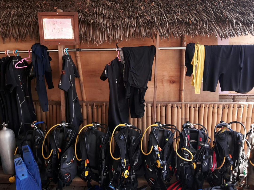 Gili Divers景点图片