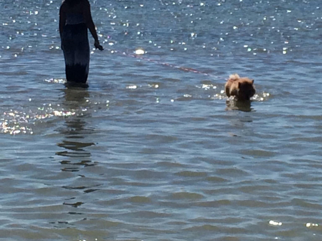 Bonita Springs Dog Park-博尼塔斯普林斯必去景点