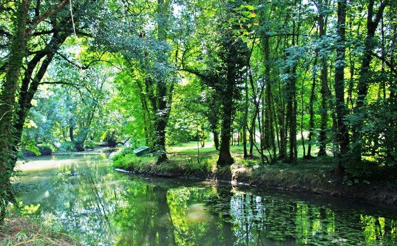 Domaine De Pladuc主图